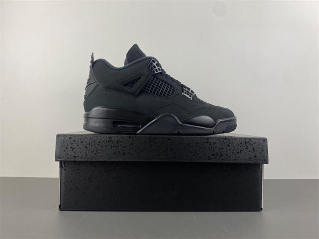Air Jordan 4 “Black Cat”  FV5029-010