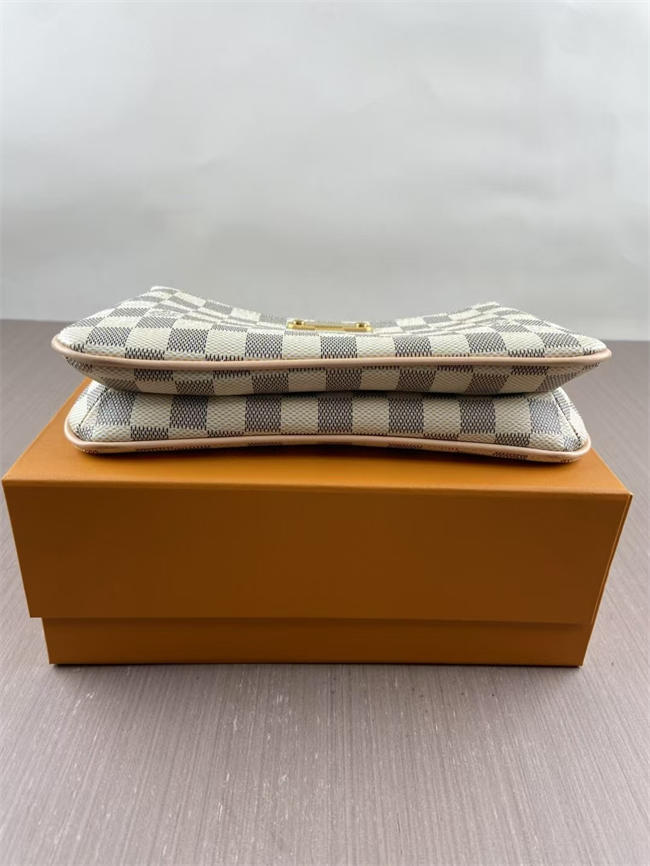 LV BAG